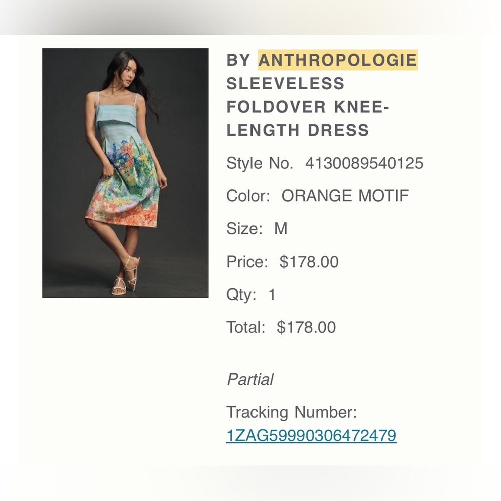 Anthropology Dress
